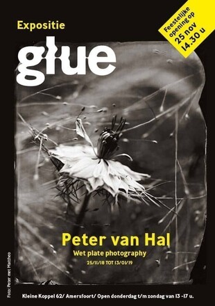 Solo Expositie Peter van Hal